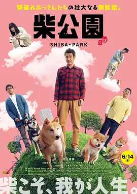 婷婷综合激情网