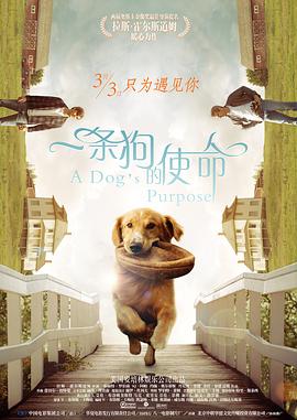国产精品偷伦视频免费观看的