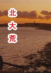 盘她s