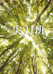 在线视频亚洲欧美