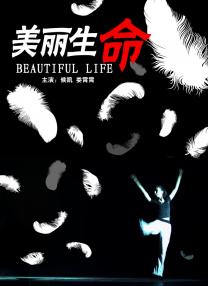 哥哥的恋爱