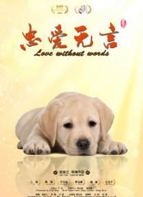 秘密仙女的三个秘密