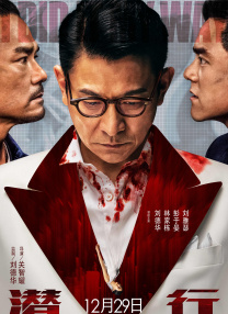 激情影院成人区免费观看视频