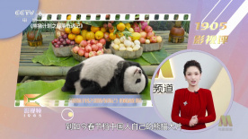 色中文网